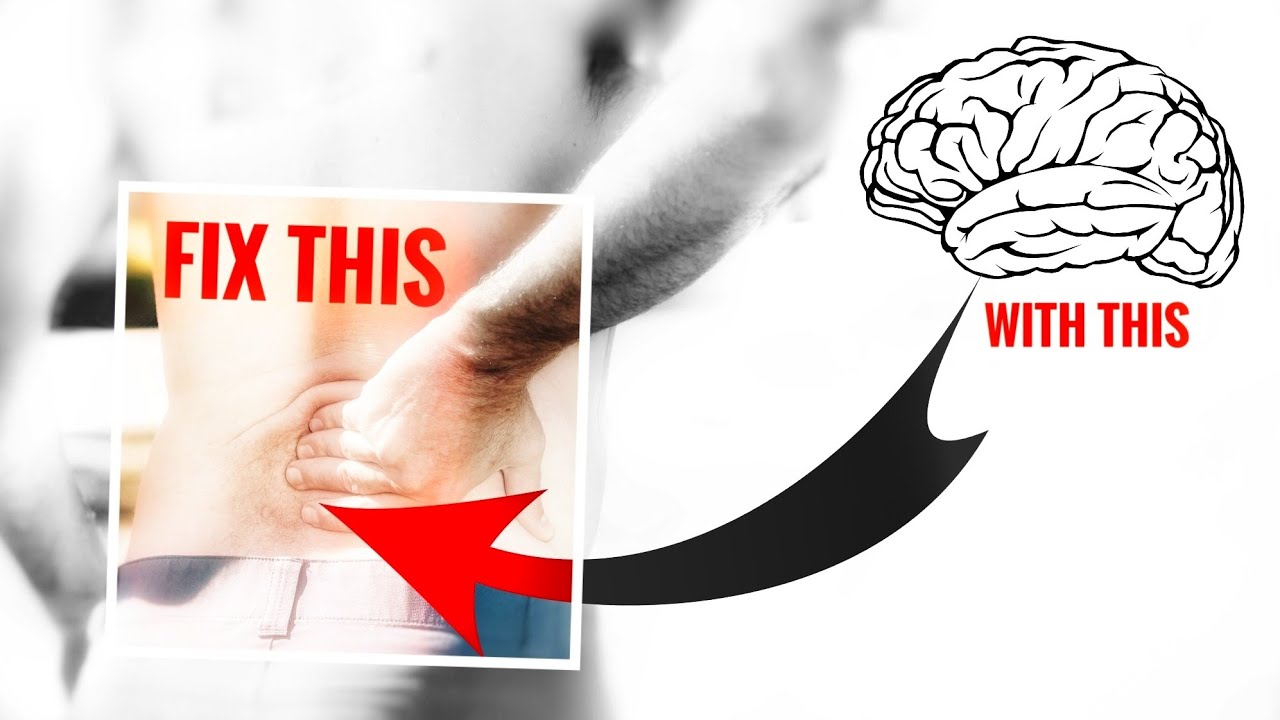 Pain reprocessing therapy for chronic pain